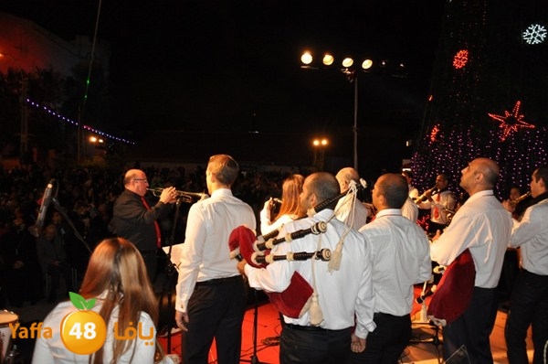 tree light 1208 (41).JPG